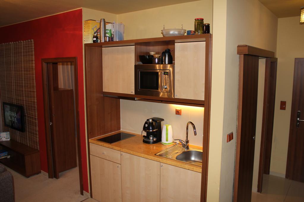 Apartman S Velkou Terasou Luxus Tatry E106 Vel'ka Lomnica Buitenkant foto